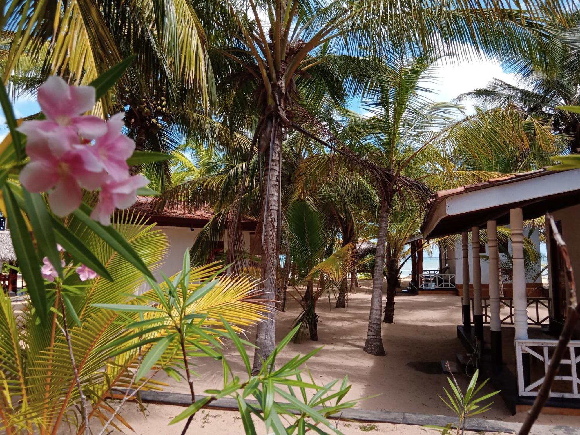 טנגלה Ibisbird Beach Bungalows, Sport, Spa And Restaurant מראה חיצוני תמונה
